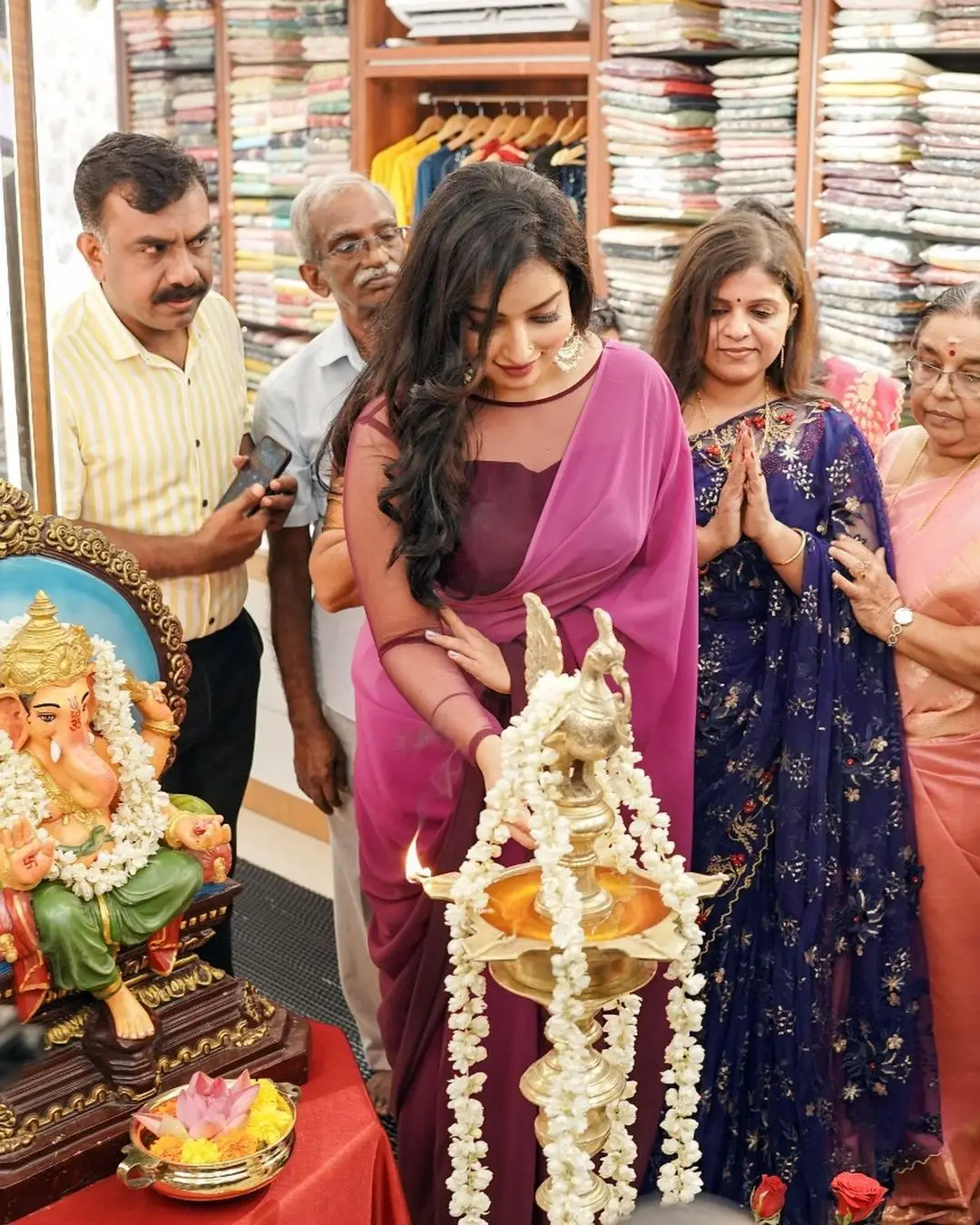 Malavika Menon In South Indian Traditional Pink Saree Maroon Blouse